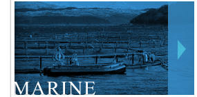 Marine Power Washing and Cleaning Services Inverness, Highlands and Skye
